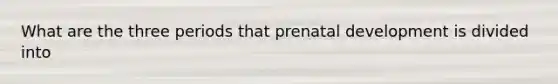 What are the three periods that prenatal development is divided into