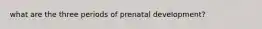 what are the three periods of prenatal development?