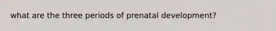 what are the three periods of prenatal development?