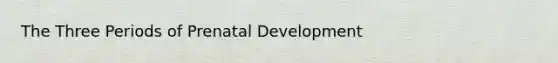 The Three Periods of Prenatal Development