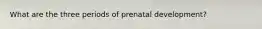 What are the three periods of prenatal development?