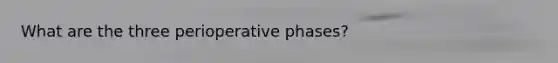 What are the three perioperative phases?