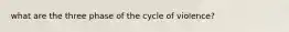 what are the three phase of the cycle of violence?