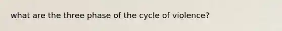 what are the three phase of the cycle of violence?