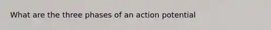 What are the three phases of an action potential