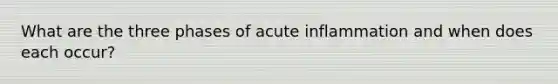 What are the three phases of acute inflammation and when does each occur?