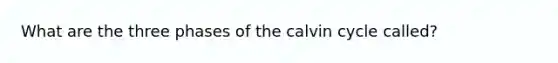 What are the three phases of the calvin cycle called?