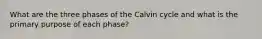 What are the three phases of the Calvin cycle and what is the primary purpose of each phase?