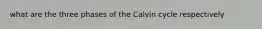 what are the three phases of the Calvin cycle respectively