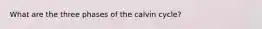 What are the three phases of the calvin cycle?