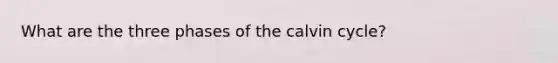 What are the three phases of the calvin cycle?