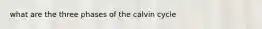 what are the three phases of the calvin cycle