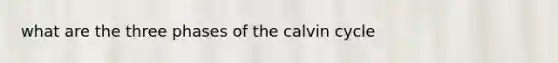 what are the three phases of the calvin cycle