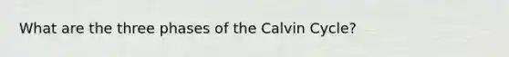 What are the three phases of the Calvin Cycle?