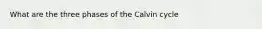 What are the three phases of the Calvin cycle