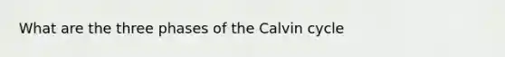 What are the three phases of the Calvin cycle