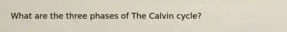 What are the three phases of The Calvin cycle?