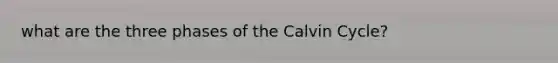 what are the three phases of the Calvin Cycle?