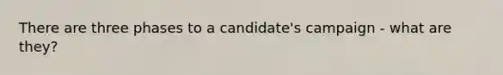 There are three phases to a candidate's campaign - what are they?