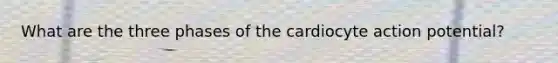 What are the three phases of the cardiocyte action potential?