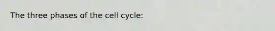 The three phases of the cell cycle: