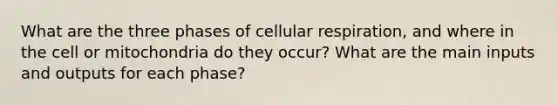 What are the three phases of cellular respiration, and where in the cell or mitochondria do they occur? What are the main inputs and outputs for each phase?