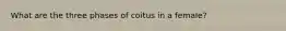 What are the three phases of coitus in a female?