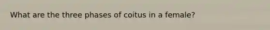 What are the three phases of coitus in a female?