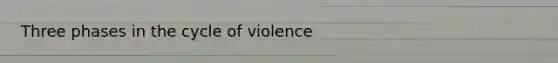Three phases in the cycle of violence