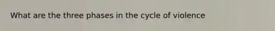 What are the three phases in the cycle of violence