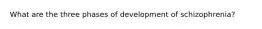 What are the three phases of development of schizophrenia?