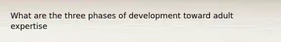 What are the three phases of development toward adult expertise