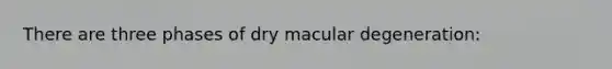 There are three phases of dry macular degeneration: