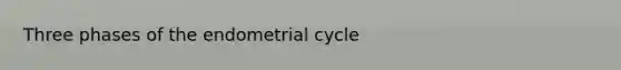 Three phases of the endometrial cycle