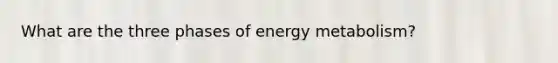 What are the three phases of energy metabolism?