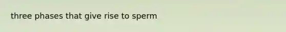 three phases that give rise to sperm