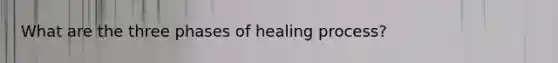 What are the three phases of healing process?