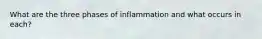 What are the three phases of inflammation and what occurs in each?