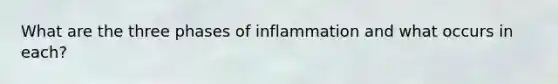 What are the three phases of inflammation and what occurs in each?