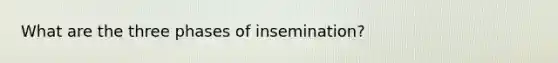 What are the three phases of insemination?