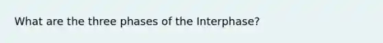 What are the three phases of the Interphase?