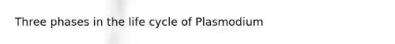 Three phases in the life cycle of Plasmodium