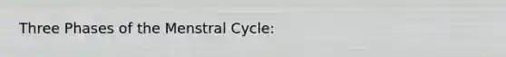 Three Phases of the Menstral Cycle: