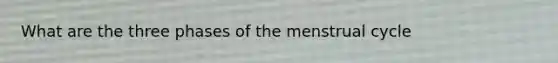 What are the three phases of the menstrual cycle