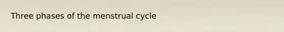 Three phases of the menstrual cycle