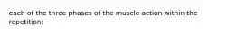 each of the three phases of the muscle action within the repetition: