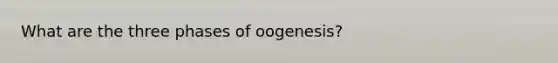 What are the three phases of oogenesis?