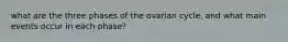 what are the three phases of the ovarian cycle, and what main events occur in each phase?