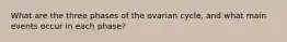 What are the three phases of the ovarian cycle, and what main events occur in each phase?