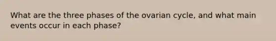 What are the three phases of the ovarian cycle, and what main events occur in each phase?